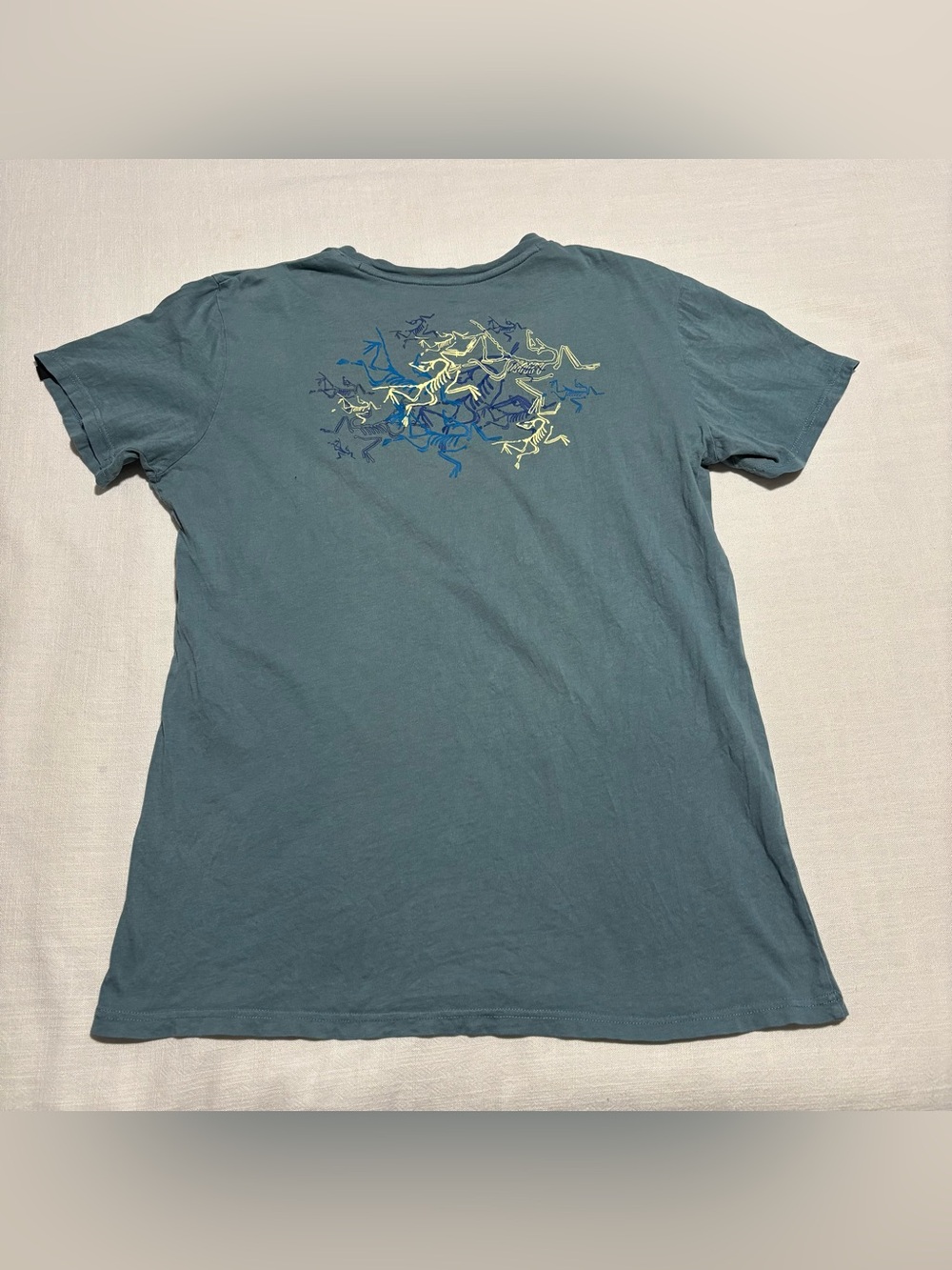 Men’s Arc'teryx Multi Bird T-Shirt | Blue-Green | Size Medium | READ